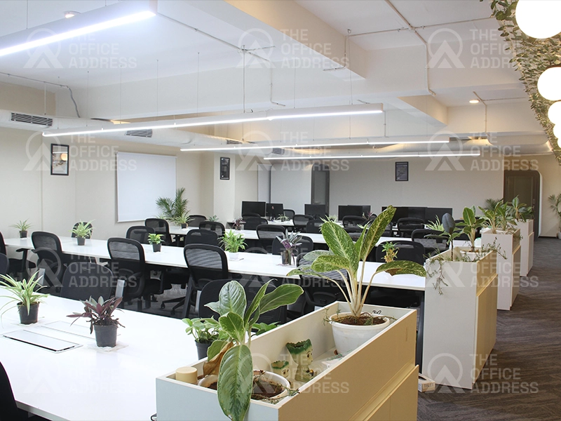 Urban Vault-Tonique in Koramangala, Bangalore