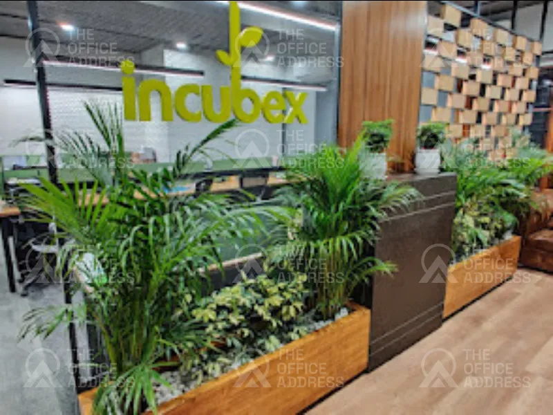 Incubex - HM Eleganza in Ashok Nagar, Bangalore