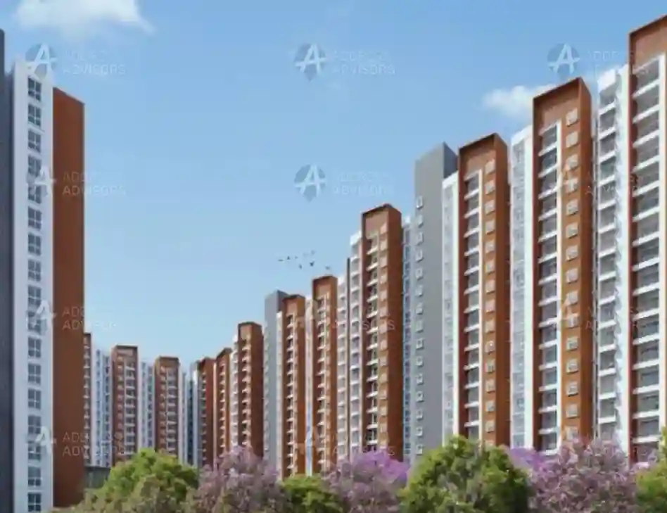 Provident Botanico