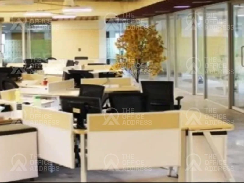 Spinebiz in Anna Nagar, Chennai