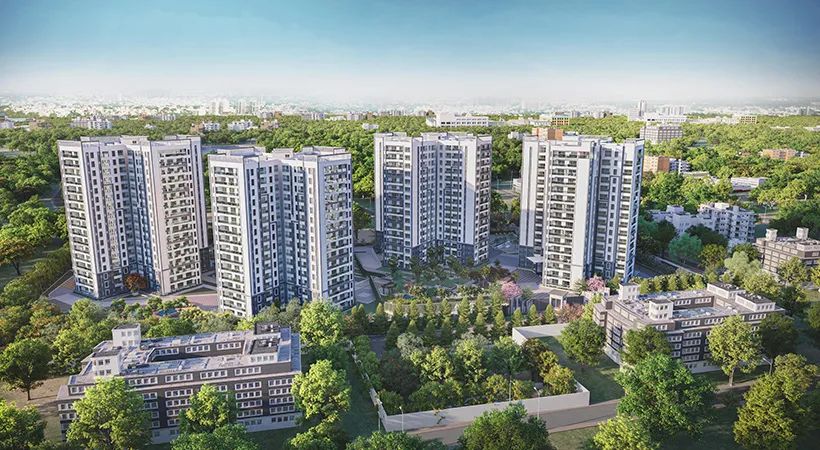Prestige Pine Forest
